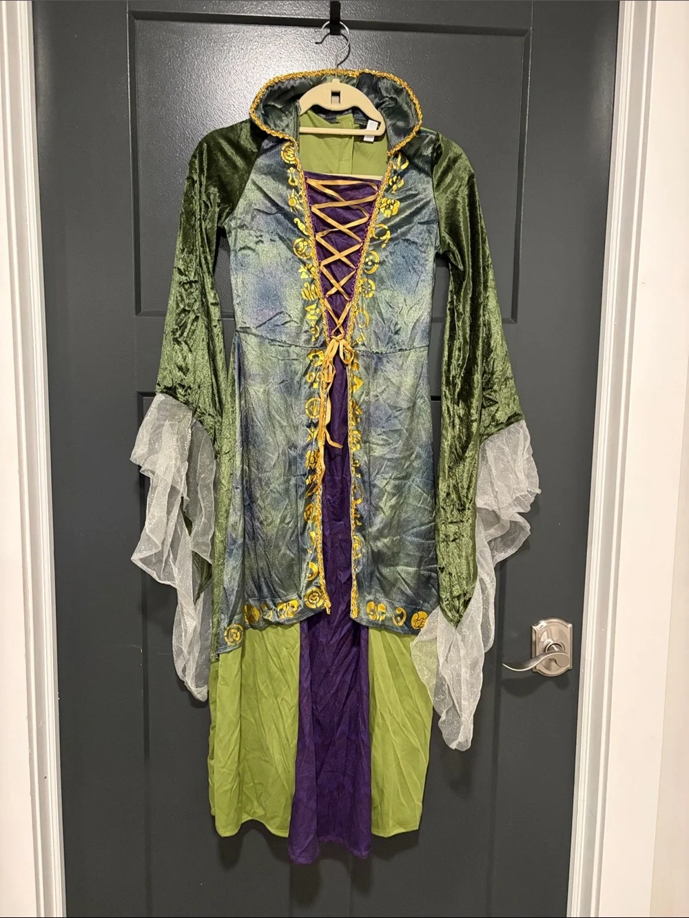Hocus Pocus Winifred Sanderson Costume